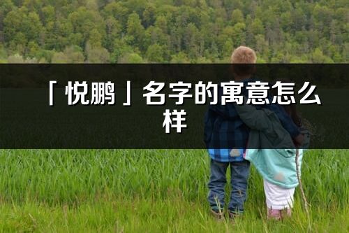 「悦鹏」名字的寓意怎么样