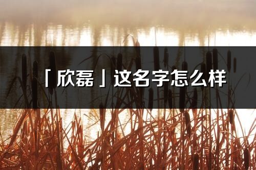 「欣磊」这名字怎么样