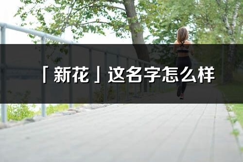 「新花」这名字怎么样