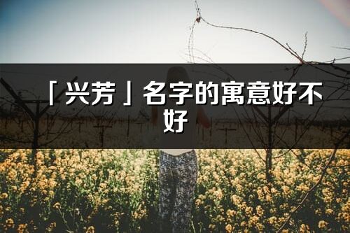 「兴芳」名字的寓意好不好