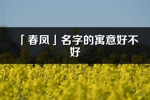 「春凤」名字的寓意好不好