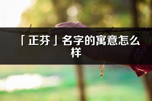 「正芬」名字的寓意怎么样