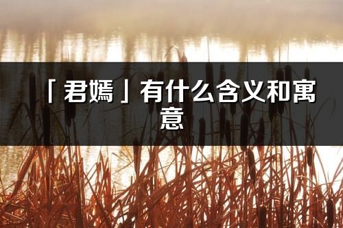 「君嫣」有什么含义和寓意