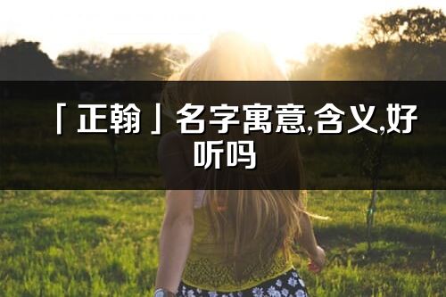 「正翰」名字寓意,含义,好听吗