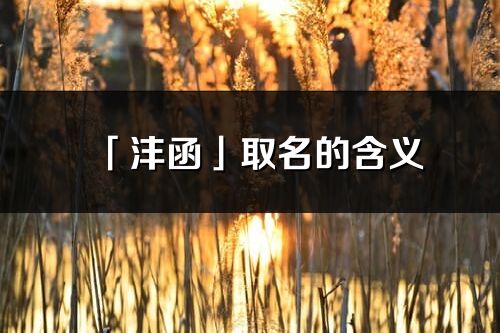 「沣函」取名的含义