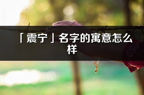 「震宁」名字的寓意怎么样