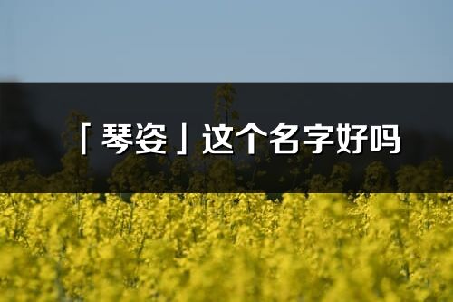 「琴姿」这个名字好吗