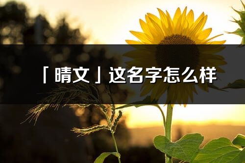 「晴文」这名字怎么样