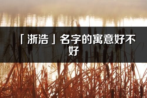 「浙浩」名字的寓意好不好