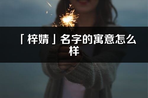 「梓婧」名字的寓意怎么样