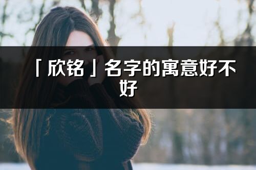 「欣铭」名字的寓意好不好