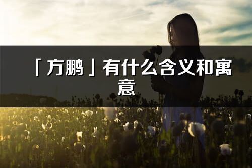 「方鹏」有什么含义和寓意