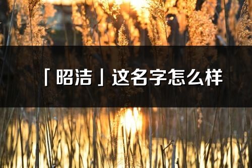 「昭洁」这名字怎么样