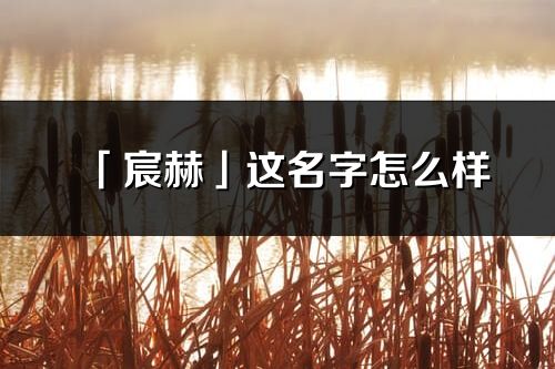 「宸赫」这名字怎么样