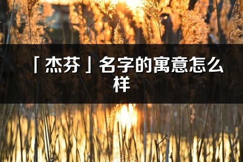 「杰芬」名字的寓意怎么样