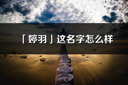 「婷羽」这名字怎么样