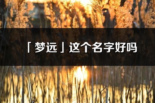 「梦远」这个名字好吗