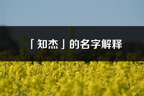 「知杰」的名字解释