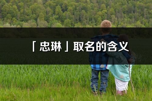 「忠琳」取名的含义