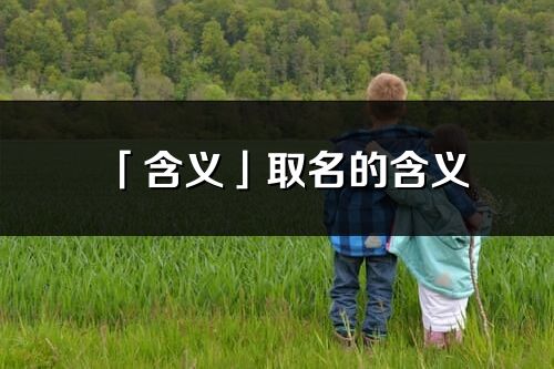 「含义」取名的含义