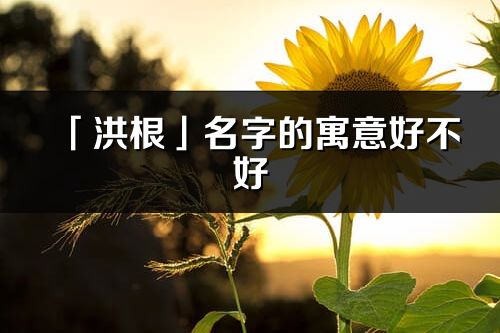 「洪根」名字的寓意好不好