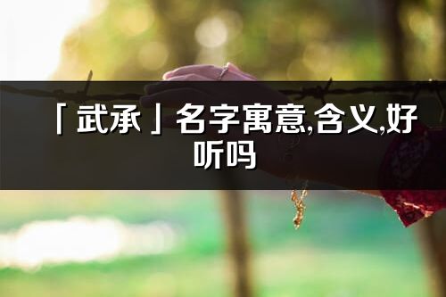 「武承」名字寓意,含义,好听吗