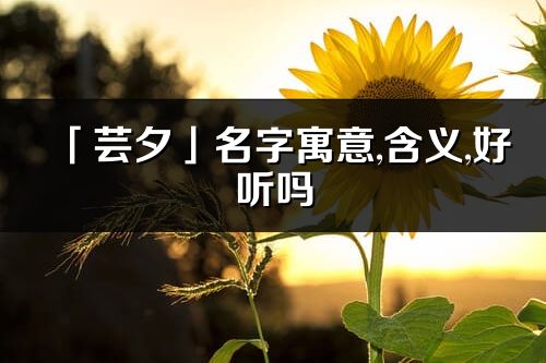 「芸夕」名字寓意,含义,好听吗