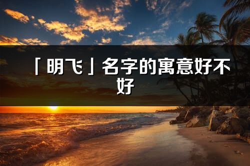 「明飞」名字的寓意好不好