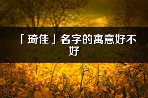 「琦佳」名字的寓意好不好