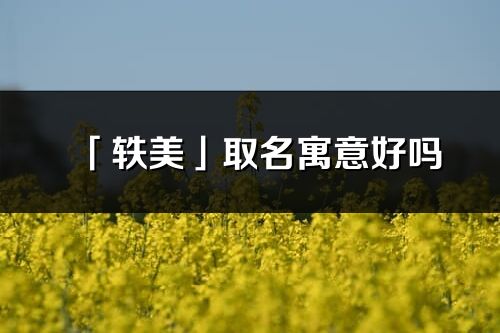 「轶美」取名寓意好吗