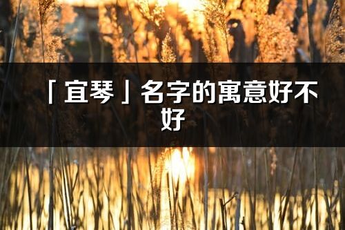 「宜琴」名字的寓意好不好