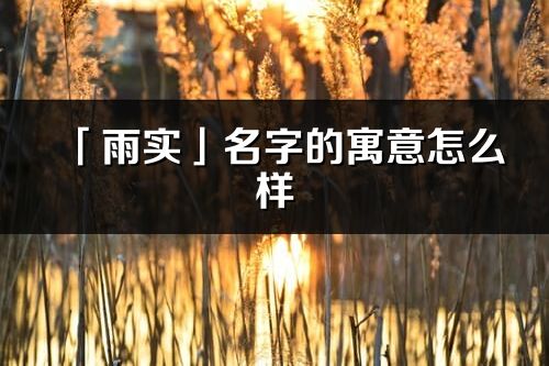 「雨实」名字的寓意怎么样