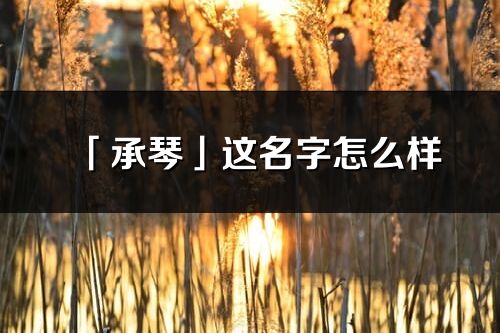 「承琴」这名字怎么样