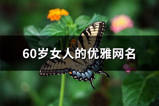 60岁女人的优雅网名(精选198个)