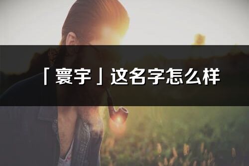 「寰宇」这名字怎么样