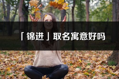 「锦进」取名寓意好吗