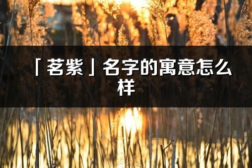 「茗紫」名字的寓意怎么样