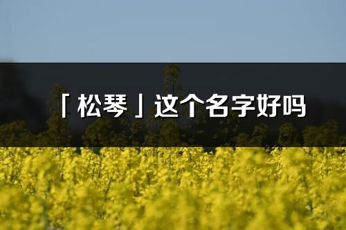 「松琴」这个名字好吗