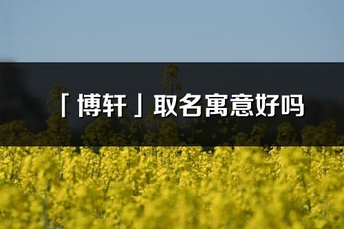 「博轩」取名寓意好吗