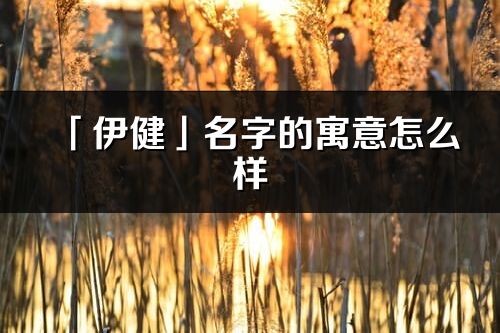 「伊健」名字的寓意怎么样