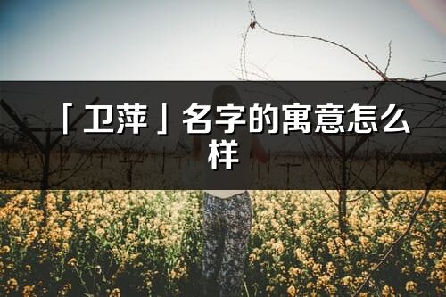 「卫萍」名字的寓意怎么样