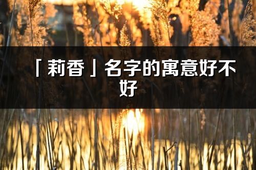 「莉香」名字的寓意好不好