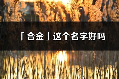 「合金」这个名字好吗