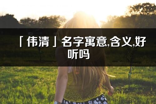 「伟清」名字寓意,含义,好听吗