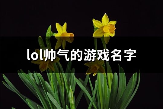 lol帅气的游戏名字(128个)