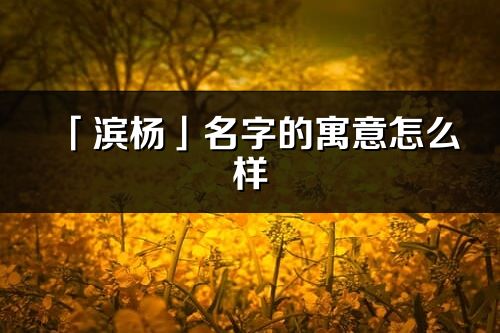 「滨杨」名字的寓意怎么样