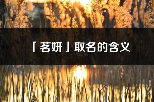 「茗妍」取名的含义