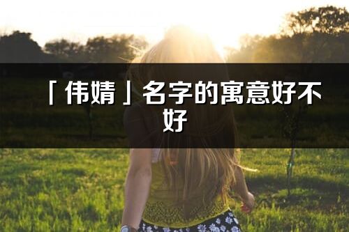 「伟婧」名字的寓意好不好