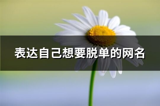 表达自己想要脱单的网名(精选154个)