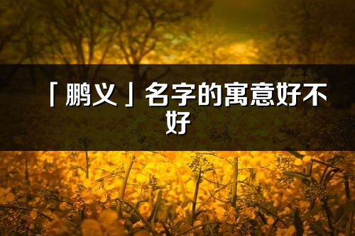 「鹏义」名字的寓意好不好